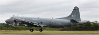 Air Tatool 19-07-22 03297   Photos ACG 2019