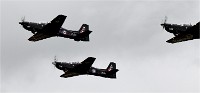 Air Tatool 19-07-22 03617   Photos ACG 2019