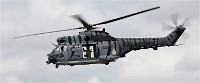 Air Tatool 19-07-22 04299   Photos ACG 2019