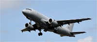 Air Tatool 19-07-22 04385   Photos ACG 2019