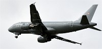 Air Tatool 19-07-22 04395   Photos ACG 2019