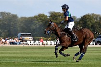 Polo Apremont D500 20-09-11 0520   Photos ACG 2020