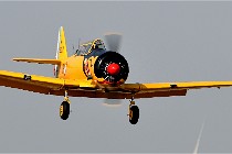 D850 Niergnies 21-09-04 0955   Photos ACG 2021