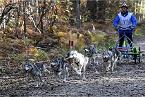 D6 Chiens traîneau 21-11-06 019   Photo ACG