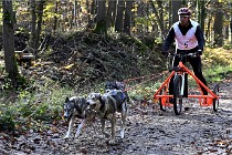 D6 Chiens traîneau 21-11-06 048   Photo ACG
