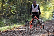 D6 Chiens traîneau 21-11-06 083   Photo ACG