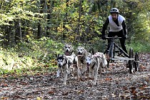 D6 Chiens traîneau 21-11-06 129   Photo ACG
