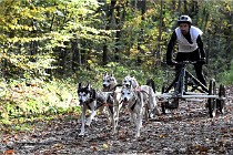 D6 Chiens traîneau 21-11-06 134   Photo ACG