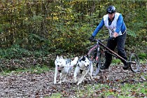 D6 Chiens traîneau 21-11-06 192   Photo ACG