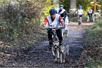 D6 Chiens traîneau 21-11-06 227   Photo ACG