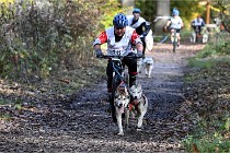 D6 Chiens traîneau 21-11-06 230   Photo ACG