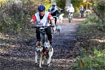 D6 Chiens traîneau 21-11-06 236   Photo ACG