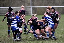 D6 Rugby féminin 22-01-23 0904  Photo ACG