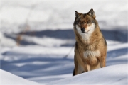 BWald_19-02-06_2040_