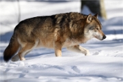 BWald_19-02-06_2032_