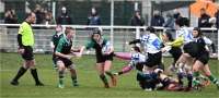 D6 Rugby Fém 22-02-06_013