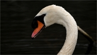 Z9  Grouchy 22-03-03_049