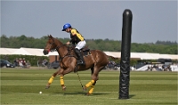 Z9PoloAppremont 22-05-02_722