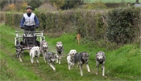 Z9 CdF Chiens de traineaux 22-11-05_001