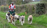 Z9 CdF Chiens de traineaux 22-11-05_006