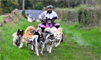Z9 CdF Chiens de traineaux 22-11-05_043