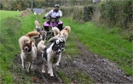 Z9 CdF Chiens de traineaux 22-11-05_050