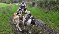 Z9 CdF Chiens de traineaux 22-11-05_053