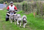 Z9 CdF Chiens de traineaux 22-11-05_056