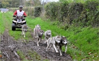 Z9 CdF Chiens de traineaux 22-11-05_068