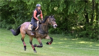 Z9 Royal Jump 23-05-27_004