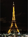 PARIS_11-12-20_013.jpg