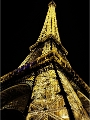 PARIS_11-12-20_161.jpg