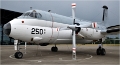 D850_MusArmHoll_18-06-01_094_.jpg