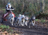 CHIENS TRAIN_13-12-15_392