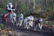 CHIENS TRAIN_13-12-15_396