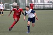 D6 Foot 21-12-12_049